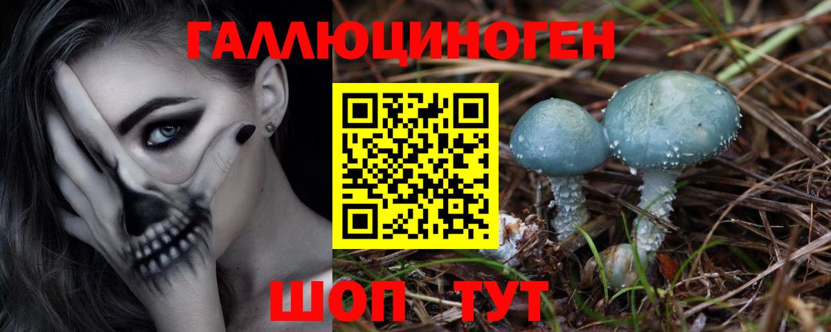 Псилоцибиновые грибы MAGIC MUSHROOMS  Галлюциногенные грибы мицелий  Сунжа  Вход с VPN 